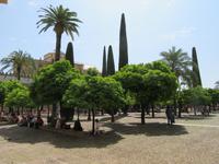Córdoba (48)