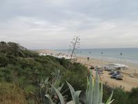 Conil de la Frontera (2)