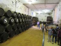 Jerez de la Frontera (28)