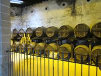 Jerez de la Frontera (35)