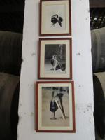 Jerez de la Frontera (42)