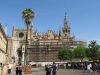 Kathedrale Santa Maria de la Sede