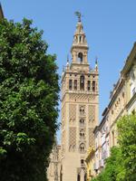 Kathedrale Santa Maria de la Sede