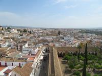 Cordoba von oben