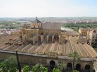 Mezquita von oben