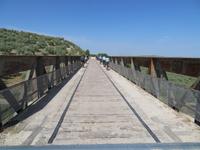 Via Verde del Aceite