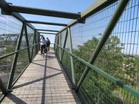 Via Verde del Aceite