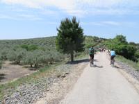 Via Verde del Aceite