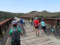 Via Verde del Aceite