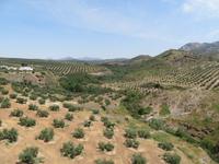 Via Verde del Aceite