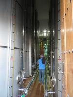 Führung in der Olivenölfabrik