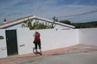 Zitronenbäumchen mit Fotograf