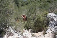 Pflanze ? also Foto machen...