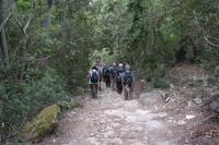 ...und wieder bergab