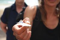 richtig...die kleine Segelqualle!