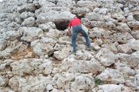 na dort bestimmt nicht 