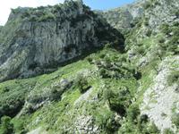 Cabrales (3)