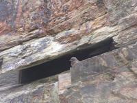 Kathedralestrand (26)