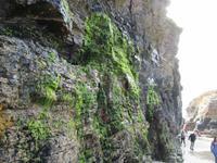 Kathedralestrand (35)