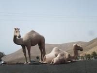 Montañas del Fuego (5)