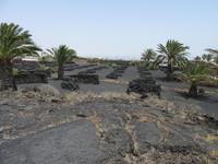 Stiftung Cesar Manrique (2)