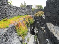 Stiftung Cesar Manrique (9)