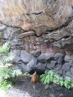 Stiftung Cesar Manrique (10)