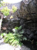 Stiftung Cesar Manrique (11)