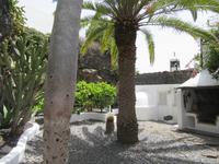 Stiftung Cesar Manrique (17)