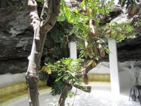 Stiftung Cesar Manrique (19)