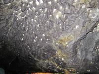 Cueva de los Verdes (18)