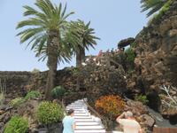Jameos del Agua (13)