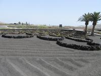 Monumento de la Fecundidad (2)