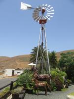 Vega del Rio Palma (6)