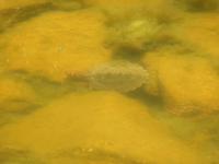 Casa de la Naturaleza (3)