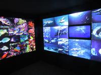 Casa de la Naturaleza (6)