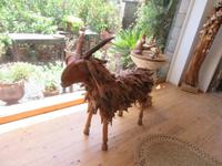 Casa de la Naturaleza (7)