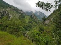 Single-Wanderreise in Nordspanien mit San Sebastian – Picos de Europa – Jakobsweg – Santiago de Compostela – Atlantikküste – Porto (115)