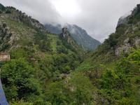 Single-Wanderreise in Nordspanien mit San Sebastian – Picos de Europa – Jakobsweg – Santiago de Compostela – Atlantikküste – Porto (116)