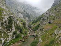 Single-Wanderreise in Nordspanien mit San Sebastian – Picos de Europa – Jakobsweg – Santiago de Compostela – Atlantikküste – Porto (128)