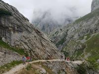 Single-Wanderreise in Nordspanien mit San Sebastian – Picos de Europa – Jakobsweg – Santiago de Compostela – Atlantikküste – Porto (136)