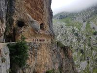 Single-Wanderreise in Nordspanien mit San Sebastian – Picos de Europa – Jakobsweg – Santiago de Compostela – Atlantikküste – Porto (149)