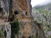 Single-Wanderreise in Nordspanien mit San Sebastian – Picos de Europa – Jakobsweg – Santiago de Compostela – Atlantikküste – Porto (151)