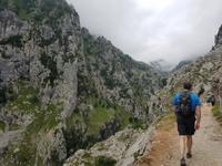 Single-Wanderreise in Nordspanien mit San Sebastian – Picos de Europa – Jakobsweg – Santiago de Compostela – Atlantikküste – Porto (160)