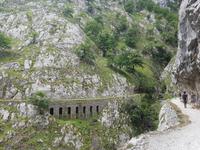 Single-Wanderreise in Nordspanien mit San Sebastian – Picos de Europa – Jakobsweg – Santiago de Compostela – Atlantikküste – Porto (178)