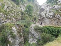 Single-Wanderreise in Nordspanien mit San Sebastian – Picos de Europa – Jakobsweg – Santiago de Compostela – Atlantikküste – Porto (180)