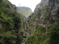 Single-Wanderreise in Nordspanien mit San Sebastian – Picos de Europa – Jakobsweg – Santiago de Compostela – Atlantikküste – Porto (185)