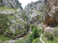 Single-Wanderreise in Nordspanien mit San Sebastian – Picos de Europa – Jakobsweg – Santiago de Compostela – Atlantikküste – Porto (187)