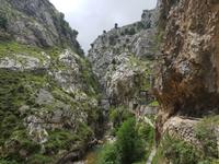 Single-Wanderreise in Nordspanien mit San Sebastian – Picos de Europa – Jakobsweg – Santiago de Compostela – Atlantikküste – Porto (188)