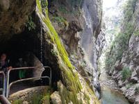 Single-Wanderreise in Nordspanien mit San Sebastian – Picos de Europa – Jakobsweg – Santiago de Compostela – Atlantikküste – Porto (191)